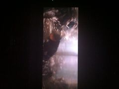 凯狮国际影城-佳兆业国际影城(鞍山店)