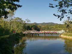 -大屏嶂森林公园