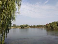 -上海市保健医疗中心(华东疗养院)