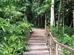 -武吉知马自然保护区