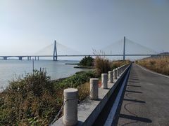 -芒洲湿地公园