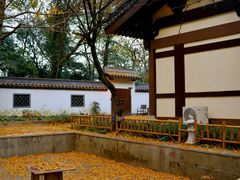 -西湖风景区十里琅珰-五云山