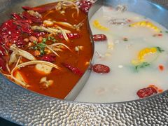 -麻田会 ·鲜活现烹·牛蛙火锅(珠江新城维家思广场店)