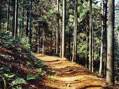 -莫干山风景区
