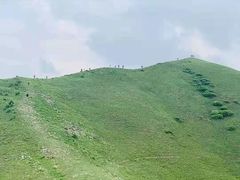 -灵山