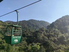-野象谷景区