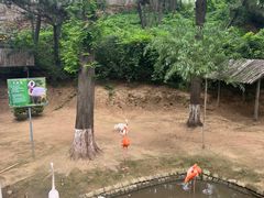 -西霞口神雕山野生动物世界