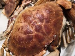 -蓝钻·国际美食海鲜自助百汇(西直门店)