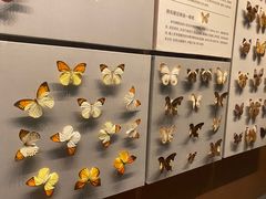 -天津自然博物馆