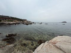 -养马岛旅游度假区