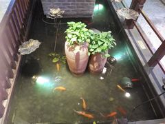 -南京时尚莱迪购物广场(正洪街店)