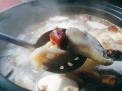 -花苑美食横琴生蚝火锅(拱北粤华路店)