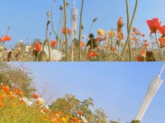 -海心沙亚运公园