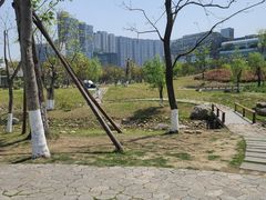 -桂溪生态公园