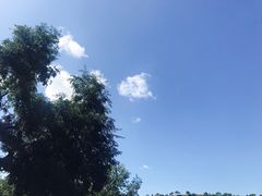 -西拉沐沦大峡谷园区