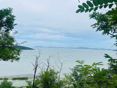 -苏州太湖西山岛开心农场