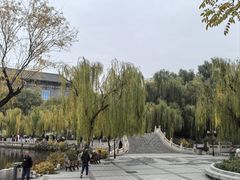 -文瀛公园