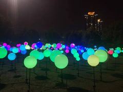 -锦江乐园舞狸花花游园会(夜场专享)