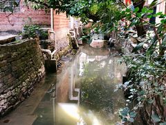 -小洲村