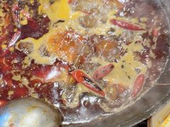 -黄潇洒老火锅(九眼桥宏济巷店)