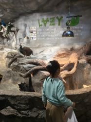 -Zoolung Zoolung动物主题公园(海信广场店)