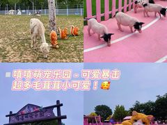 -渔岛海洋度假区