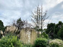 -白鹭湾湿地公园