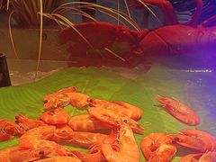 -冠菌火锅烤肉自助(东莞樟木头店)