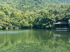 -杭州半山国家森林公园-龙山公园