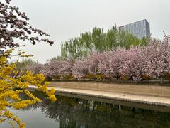 -元大都城垣遗址公园