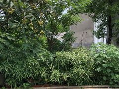 -花间酒庭院餐厅(谷山店)