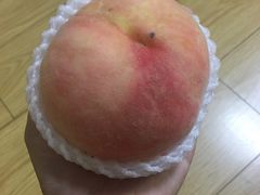 -南汇新场正宗水蜜桃采摘