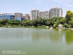 -厦门悦华酒店