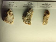 -福建博物院