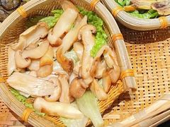 松茸-滇野云南野生菌餐厅(陕西南路店)