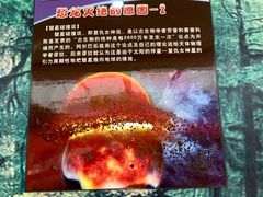 -诸城市恐龙博物馆