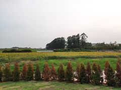 -光明小镇欢乐田园