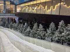 -世界之窗阿尔卑斯冰雪世界