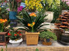 -双季花艺园艺市场(浦东店)