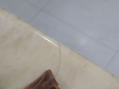 -鸡公煲(南竹饭店)