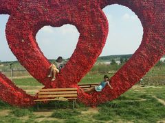 -北纬44度·金珠花海休闲农业旅游景区