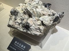 -安徽省地质博物馆