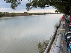 -大湾区中央湿地公园