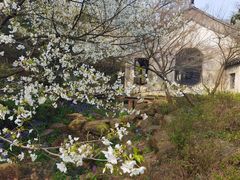 -惠山古镇·寄畅园