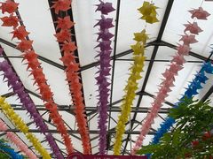 -南宫五洲植物乐园