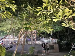 -凤城·食都