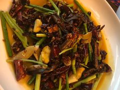 -铁公鸡·四川料理(天环广场店)