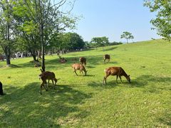-良渚古城遗址公园