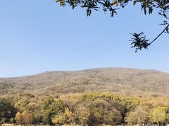 -紫霞湖公园