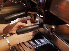 -Punchline Coffee&Roaster(同济大学店)